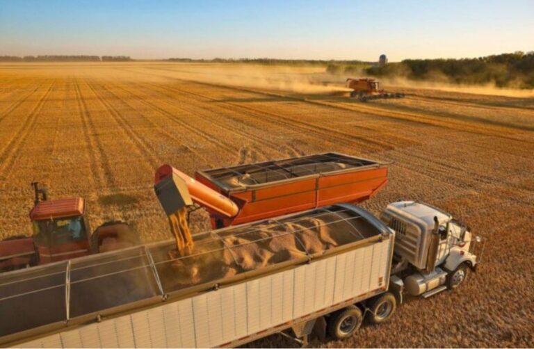 Klabin, JBS e Cosan entre as melhores ações do agronegócio para dezembro de 2025
